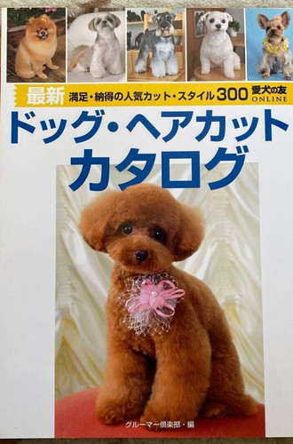 Hundefrisur groomer pflege - hundefrisur,