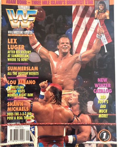 World wrestling federation - world,